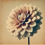 Psikoterapi ve Koçluk Arasındaki Fark Nedir?