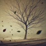 İlişkilerde Şiddet Türleri ve Gottman Çalışmaları